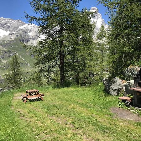 Cozy Studio Apartment Breuil-Cervinia Kültér fotó